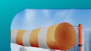 banner windsock 3